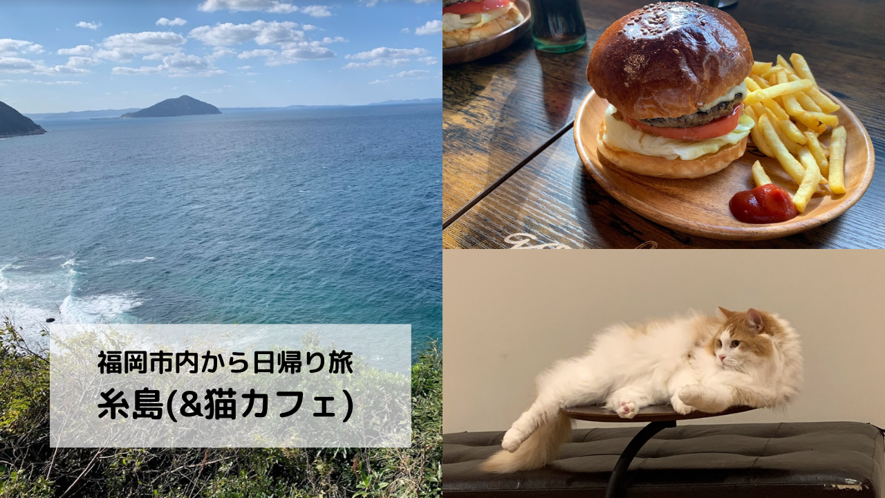 糸島でハンバーガー 博多で猫カフェな1日 とにかく旅がしたい 福岡アラサー女の気ままな旅行 食べ物日記